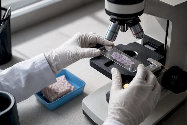Collagen tissue slide beneath laboratory microscope