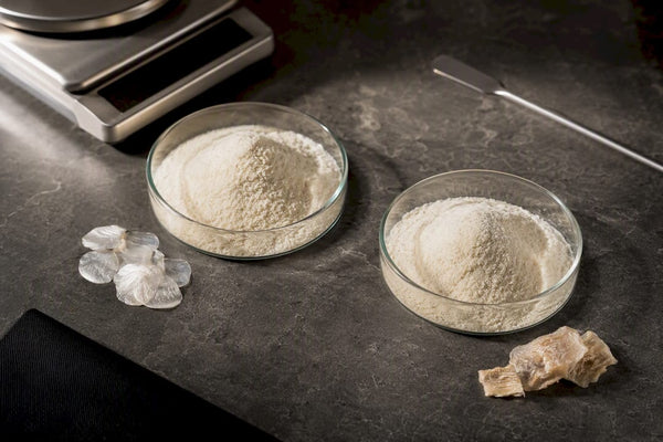 Marine and bovine collagen samples compared