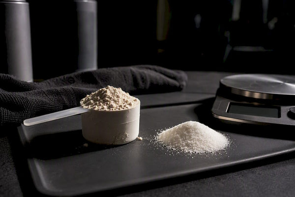 Measured protein and creatine powders on tray