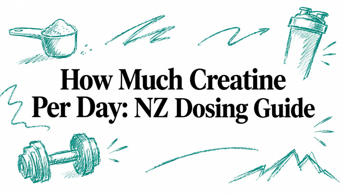 How Much Creatine Per Day: NZ Dosing Guide