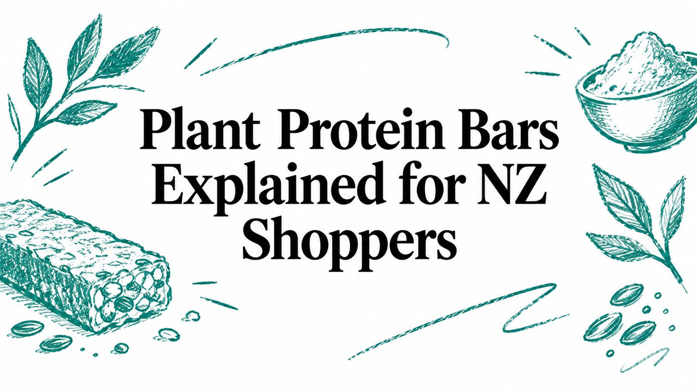 Plant Protein Bars Explained for NZ Shoppers