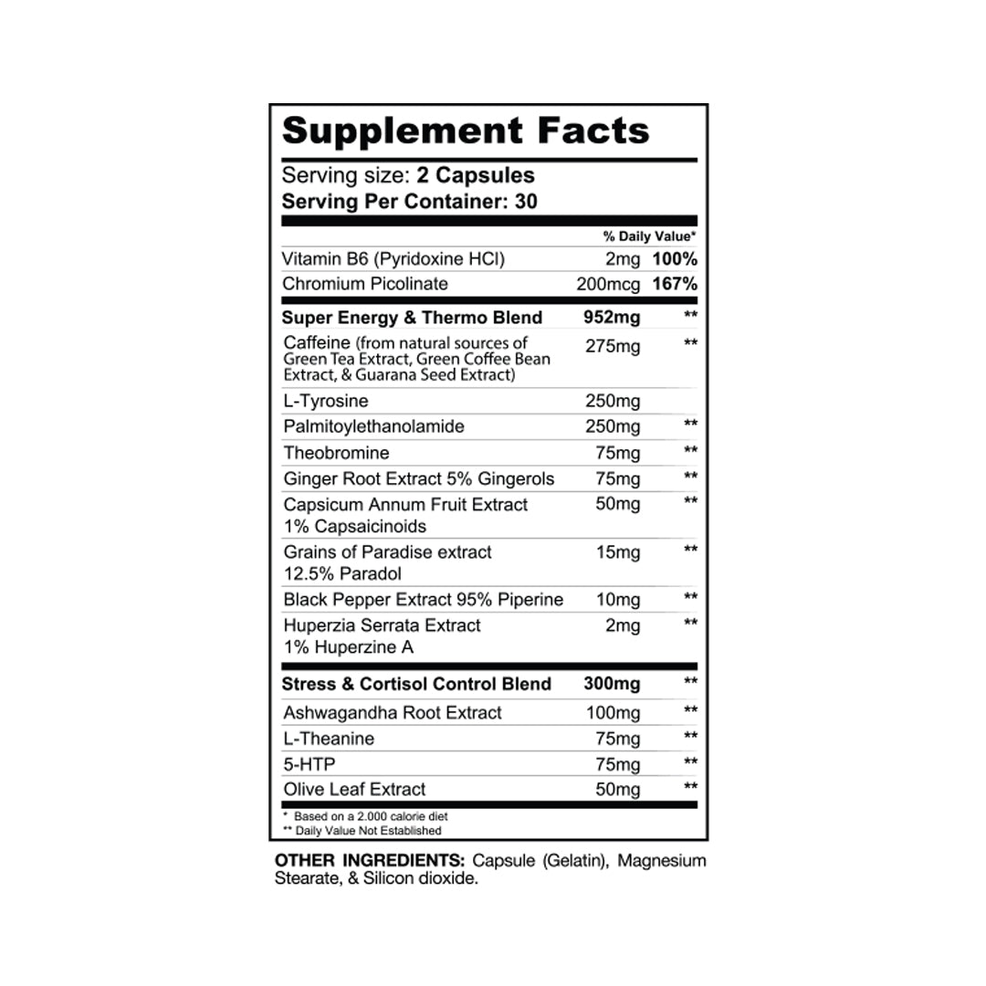 Gaspari DTN8