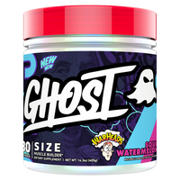 Ghost Size V3