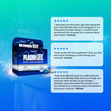Gaspari Plasmajet NZ — pack (4)