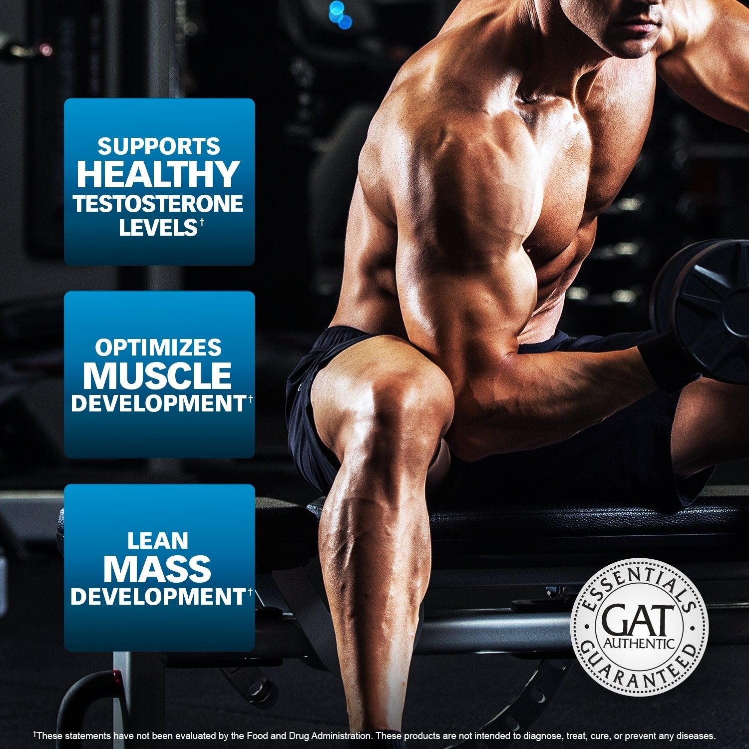 GAT Sport Essentials Tibulus