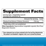 GAT Sport Essentials Tibulus — pack (4)